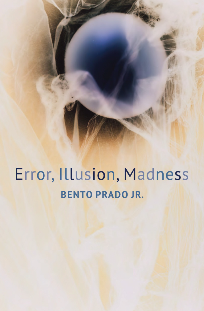 Error, Illusion, Madness cover